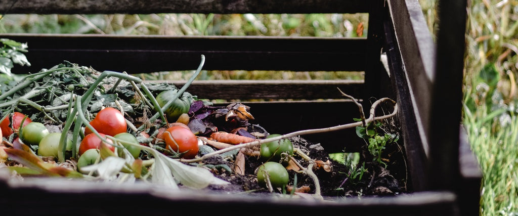 compost outside