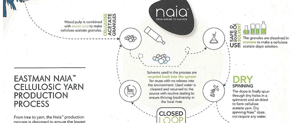 Map of the NAIA production process